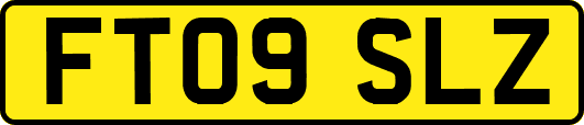 FT09SLZ