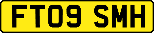 FT09SMH