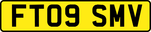 FT09SMV