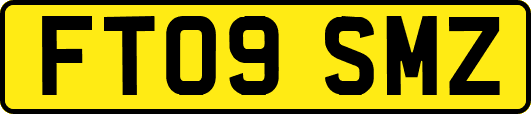 FT09SMZ