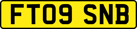 FT09SNB