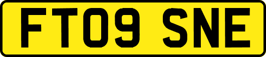 FT09SNE