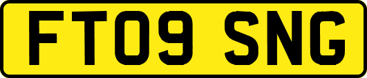 FT09SNG