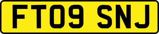 FT09SNJ