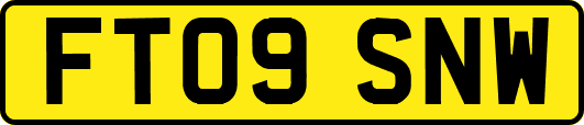FT09SNW
