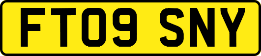 FT09SNY