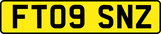 FT09SNZ
