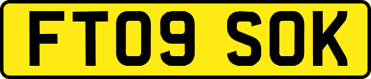 FT09SOK