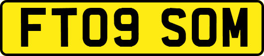 FT09SOM