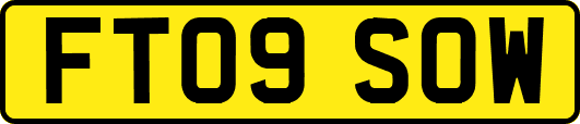 FT09SOW