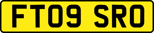 FT09SRO