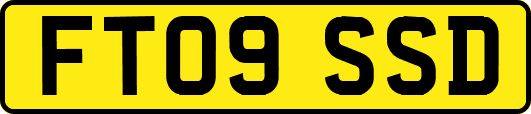 FT09SSD