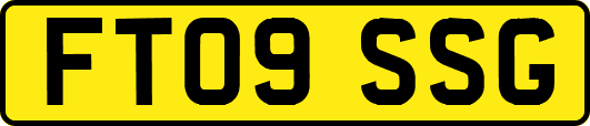FT09SSG