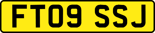 FT09SSJ