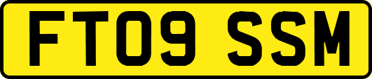 FT09SSM