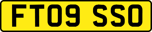 FT09SSO