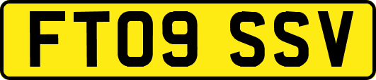 FT09SSV