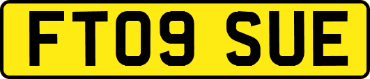 FT09SUE