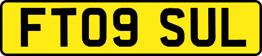 FT09SUL