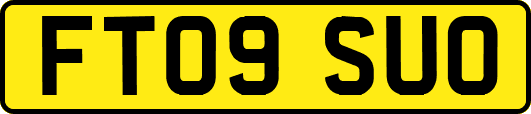 FT09SUO