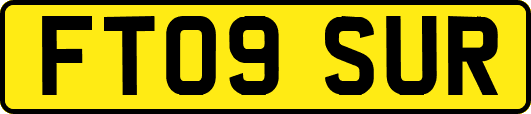 FT09SUR