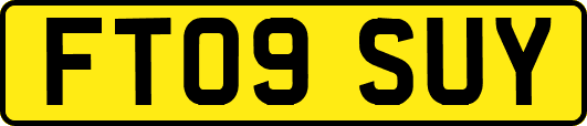FT09SUY