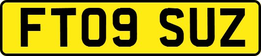 FT09SUZ