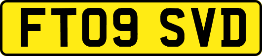 FT09SVD