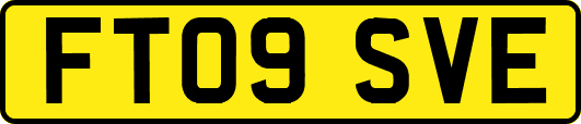 FT09SVE