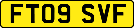 FT09SVF