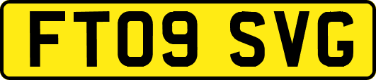 FT09SVG