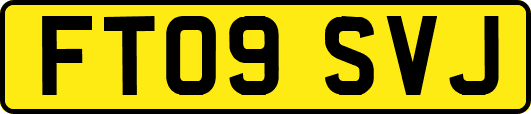 FT09SVJ