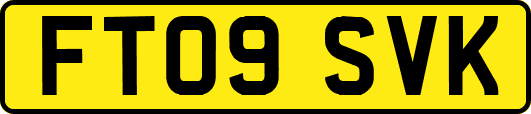 FT09SVK