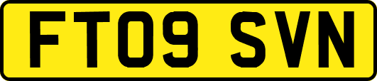 FT09SVN