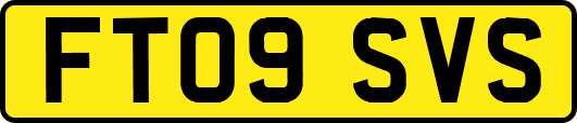 FT09SVS
