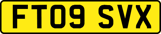 FT09SVX