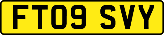 FT09SVY
