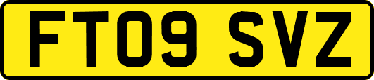 FT09SVZ