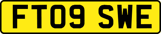 FT09SWE
