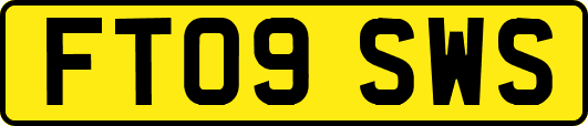 FT09SWS