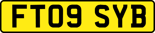 FT09SYB