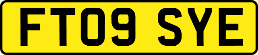 FT09SYE