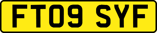 FT09SYF