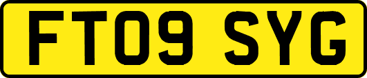 FT09SYG