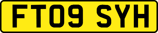 FT09SYH