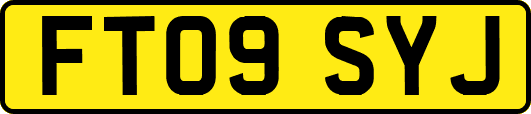 FT09SYJ