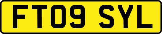 FT09SYL