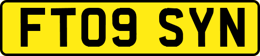 FT09SYN