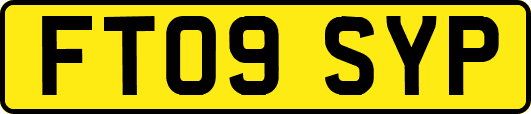 FT09SYP