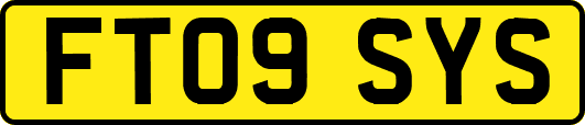 FT09SYS